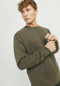 Olivgrüner Strickpullover mit rundem Halsausschnitt, langen Ärmeln und entspannter Passform, der eine glatte Textur und keine sichtbaren Muster aufweist.