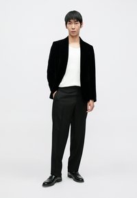 Sacou de catifea neagră peste o cămașă albă, combinat cu pantaloni negri. Ținuta este completată de pantofi negri strălucitori. Design simplu și elegant.