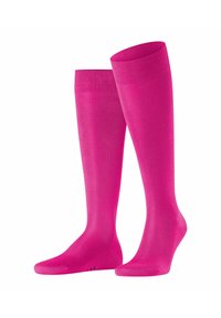 FALKE - TIAGO - Chaussettes hautes - berry Image miniature 1