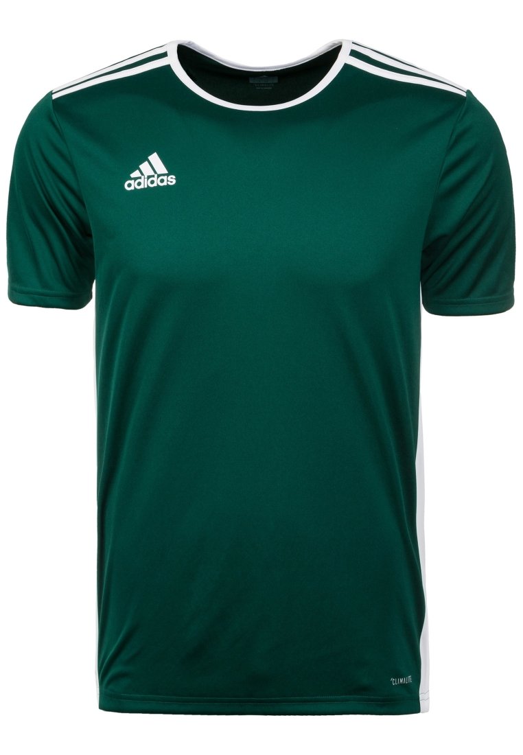 adidas Performance ENTRADA 18 FUSSBALLTRIKOT HERREN - T-shirt basique - dark green