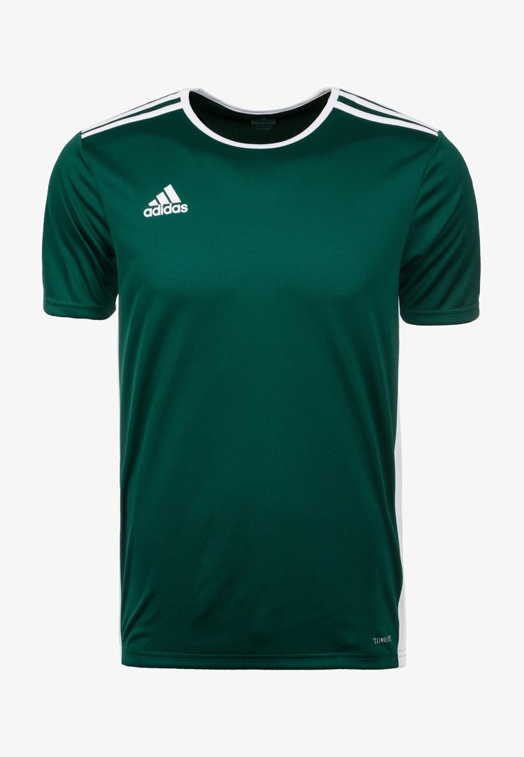 adidas Performance ENTRADA 18 FUSSBALLTRIKOT HERREN - T-shirt basique - dark green