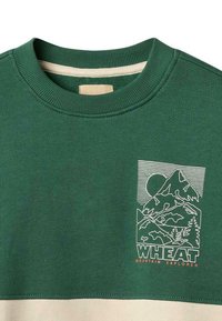 Groene sweatshirt met een geribbelde ronde hals, een crème strook aan de onderkant en een vooropdruk van bergen, een zon en de tekst "WHEAT".