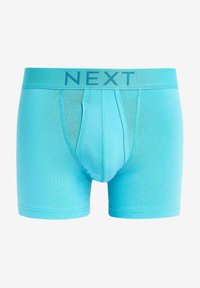 Next A FRONTS 10 PACK - Apakšbikses - rich brights