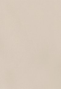 Beige textured surface with a smooth, matte finish, exhibiting subtle variations in tone and no distinct patterns or accents.