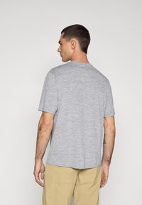 Patagonia DAILY GRAPHIC SHIRT - Sportiniai marškinėliai trumpomis rankovėmis - feather grey