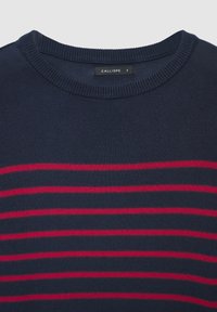 Maglione blu navy con strisce orizzontali rosse. Presenta uno scollo rotondo e polsini a costine. Il tessuto sembra morbido con una texture liscia.
