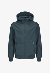 Selected, magical forest