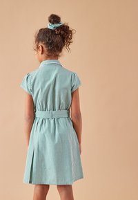 Groen-wit geruit jurkje met korte mouwen, kraag, getailleerde taille en geplooide rok, gecombineerd met een bijpassende haar scrunchie.