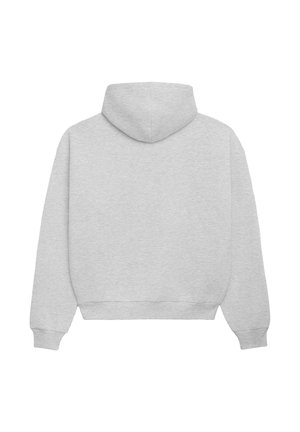 PROHIBITED Sweat zippé - grey melange