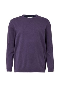 Paarse trui met lange mouwen, ronde halslijn en geribbelde manchetten. Gemaakt van zachte stof met een plain textuur en minimale detailing.
