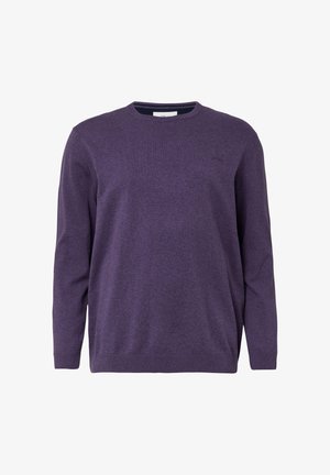 Lila Pullover mit langen Ärmeln, rundem Halsausschnitt und gerippten Bündchen. Aus weichem Stoff mit glatter Textur und minimaler Verzierung.
