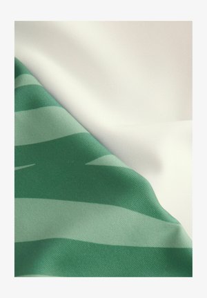 Zelená a biela tkanina s hladkým povrchom, so zelenými pruhmi na jednej strane a jednofarebným bielym povrchom na druhej strane.