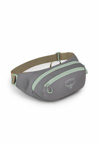 Riñonera de tela gris con cremalleras y acentos en verde menta. Cuenta con un bolsillo principal y un pequeño bolsillo con cremallera en la parte frontal. Correa ajustable en color beige.