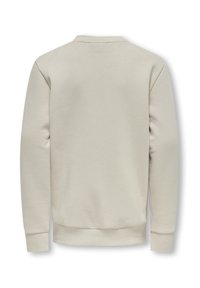 Lichtgrijze sweatshirt, katoenmix, ronde hals, ribgebreide manchetten en onderkant, geen graphics, eenvoudige achterkant. Gladde textuur, casual ontwerp.