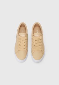 Beige Lacoste kedas ar baltām zolēm un šņorēm, skatīts no augšas uz vienkrāsaina balta fona.