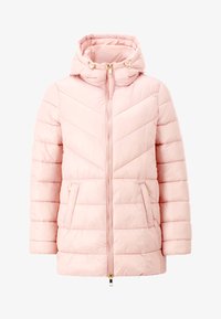 Unselected, winter rose