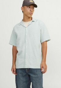 Chemise à manches courtes à carreaux vert clair avec des boutons et un col classique, associée à un jean en denim bleu ample.