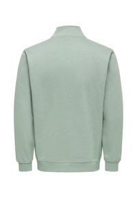 Sweat-shirt vert clair à manches longues, avec poignets côtelés et col, présenté de dos sur un fond blanc.