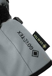 Guante gris con un tejido texturizado, correa de Velcro negra y una etiqueta con la marca y el logotipo de "GORE-TEX" en colores contrastantes.