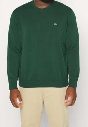 Mand iført en mørkegrøn langærmet sweater med et lille krokodillelogo på brystet og lyse beige bukser.