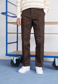 Dickies Kalhoty - dark brown
