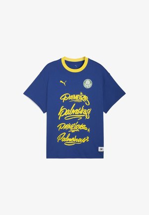 HOOPS X SE PALMEIRAS BASKETBALL - Sporto klubų atributika - clyde royal