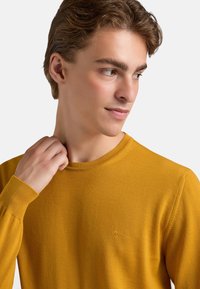 Maglione giallo senape in maglia con scollo rotondo e maniche lunghe. Presenta un piccolo logo ricamato sul petto. Tessuto strutturato.