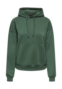 Sweat à capuche vert à manches longues avec poche avant, cordons réglables, poignets côtelés et logo légèrement embossé sur la poitrine.