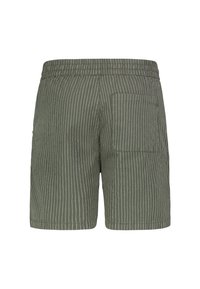 Grün gestreifte Shorts mit einem elastischen Bund, einer Gesäßtasche und einem strukturierten Stoff, der vertikale Linien aufweist und einen lässigen Schnitt hat.