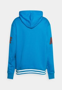 Hoodie i klarblått med långa ärmar, ribbade muddar och vita linjer i nederkant. Röd logotyp på vänster ärm. Tillverkad av bomull.