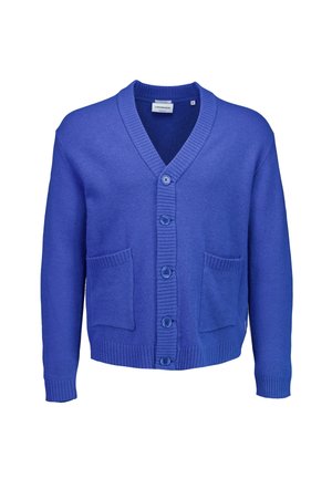 BUTTON - Strickjacke - bright blue mel