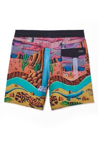Pantaloncini a tema deserto con cactus, rocce, una cascata e lucertole colorate in un paesaggio vivace in stile cartone animato.