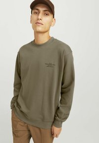 Olivazöld pulóver hosszú ujjakkal, bordás nyakkivágással és nyomtatott logóval az elején. Sima textúra, laza fazon, minimalista dizájn.