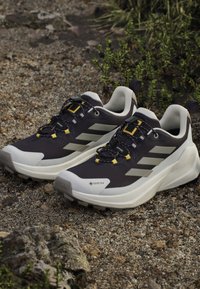 Paire de chaussures de trail Adidas Gore-Tex noires et blanches sur un sol rocheux avec des plantes vertes en arrière-plan.