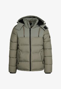 Seleccionado, mossy stone