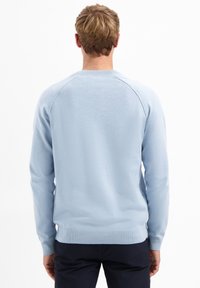 Lichtblauwe trui met lange mouwen, geribde manchetten en zoom, gemaakt van een zachte breiware. Eenvoudig ontwerp zonder zichtbare patronen of accenten.