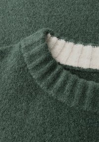 Suéter de punto verde con cuello acanalado en crema, fabricado con un material texturizado y suave, con un acabado ligeramente difuso.