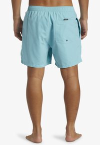 Quiksilver EVERYDAY VERT VOLLEY 16 - Bañador corto - bha