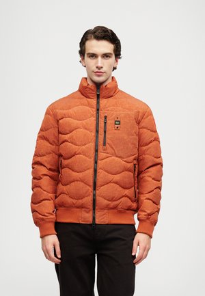 DANIEL - Chaqueta de plumas - orange