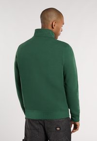 Groene sweatshirt met een hoge kraag, lange mouwen en ribbelboord. Gladde textuur, eenvoudig ontwerp, onversierd. Geschikt voor casual draag.