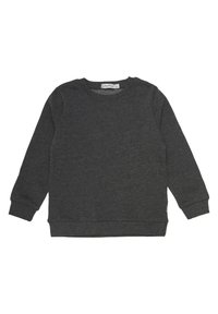 Grijze longsleeve sweatshirt van zacht materiaal. Heeft een ronde hals, cuffs en een ribgebreide zoom. Eenvoudig ontwerp zonder patronen of accenten.