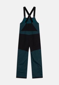 Burton SKYLAR UNISEX - Sínadrág - deep emerald