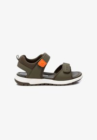 Seleccionado, khaki