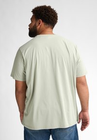 Jasnozielona bawełniana koszulka z krótkimi rękawami, luźny krój i okrągły dekolt, widok z tyłu, sparowana z niebieskimi dżinsami.