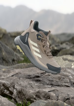 Zapatilla de senderismo Adidas Terrex beige y gris elevada sobre un terreno rocoso con montañas desenfocadas en el fondo.