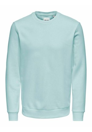 Sweat-shirt bleu clair à col rond avec manches longues et poignets et ourlet côtelés, design uni, présenté sur fond blanc.