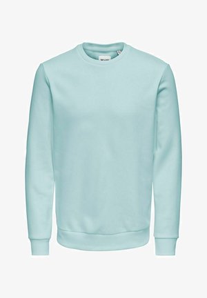 Sweat-shirt bleu clair à col rond avec manches longues et poignets et ourlet côtelés, design uni, présenté sur fond blanc.