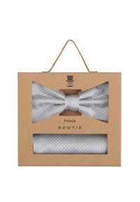 Silberne, strukturierte Fliege verpackt in einer quadratischen braunen Kartonbox mit einem Griff. Die Box zeigt eine Grafik mit einem Zylinderhut und einer Brille.