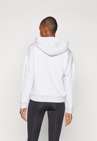 Hoodie cropped cinza claro com um grande capuz, ombros caídos e punhos canelados. Tecido suave com uma textura lisa, design minimalista.