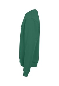 Felpa verde con scollatura rotonda, maniche lunghe, polsini e orlo a coste, realizzata in tessuto morbido, con un logo minimale sul petto.